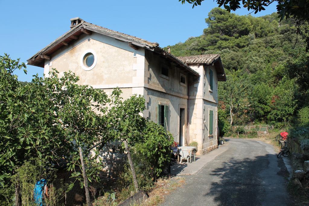 Apartment Dalmatinac Ivo Polače 外观 照片