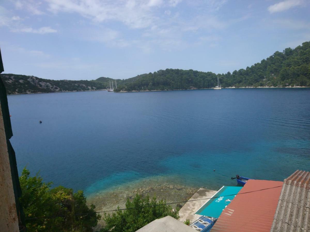 Apartment Dalmatinac Ivo Polače 外观 照片